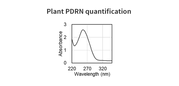 Plant PDRN quantification