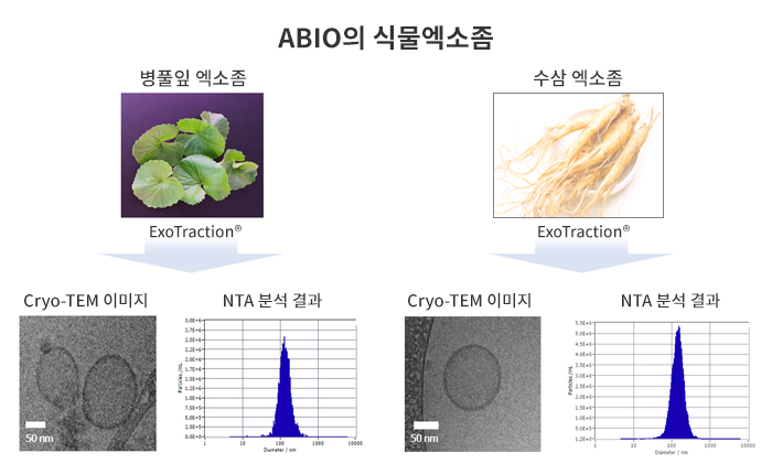 ABIO의 식물엑소좀