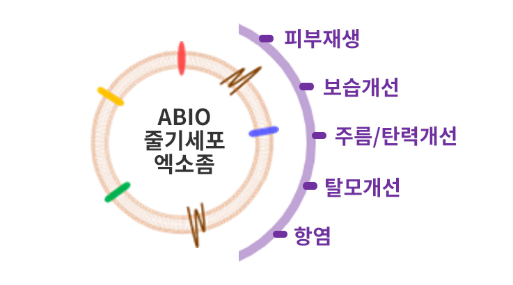 ABIO의 줄기세포 엑소좀