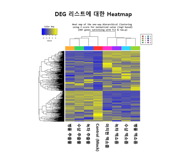 DEG 리스트에 대한 Heatmap