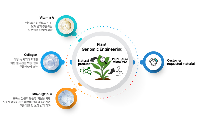 Plant Genomic Engineering