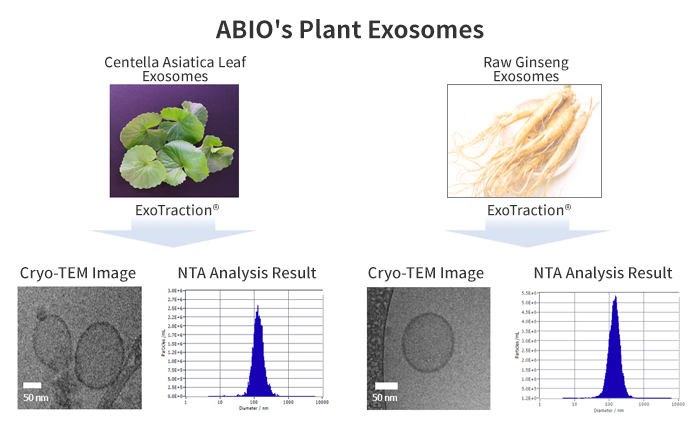 ABIO's Plant Exosomes