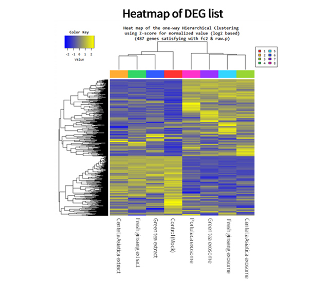 Heatmap of DEF list