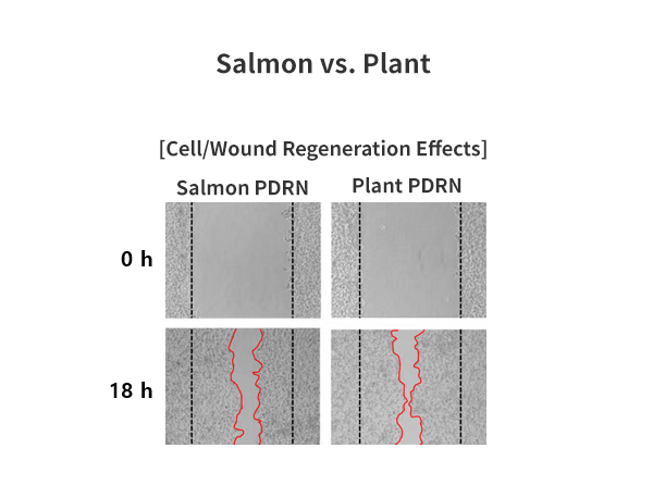 Salmon vs. Plant