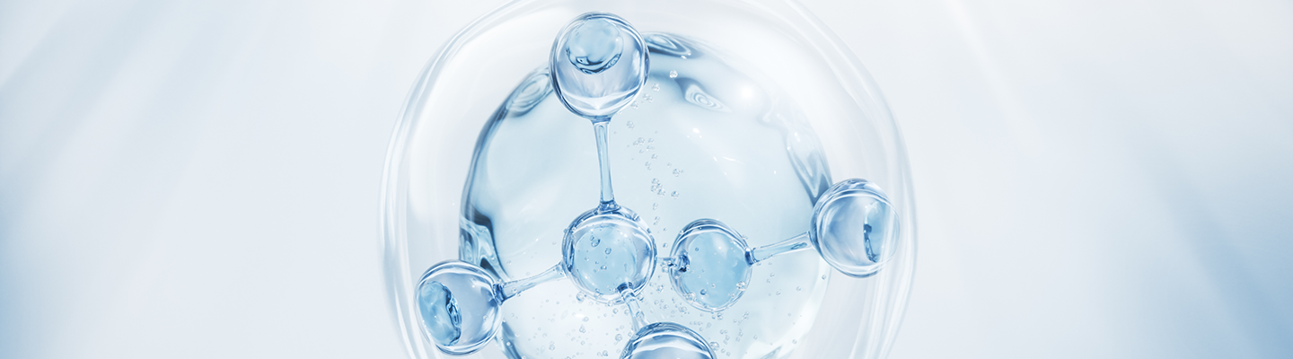 Philosophy & Identity