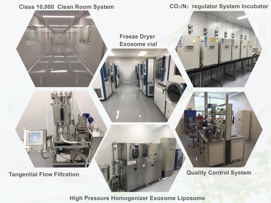Class 10,000 Clean Room System, CO2/N2 regulator System Incubator, Freeze Dryer Exosome vial, Tangential Flow Filtration, High Pressure Homogenizer Exosome Liposome, Quality Control System